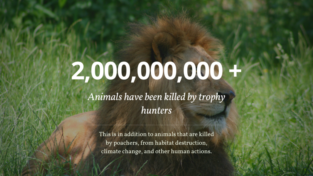 trophy-hunting-10
